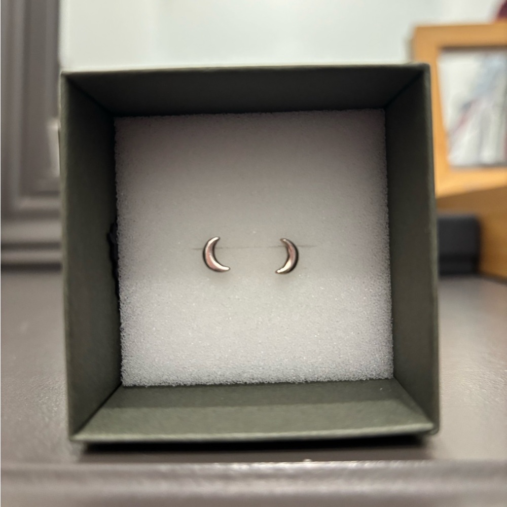 Sterling Silver Crescent Moon Earrings